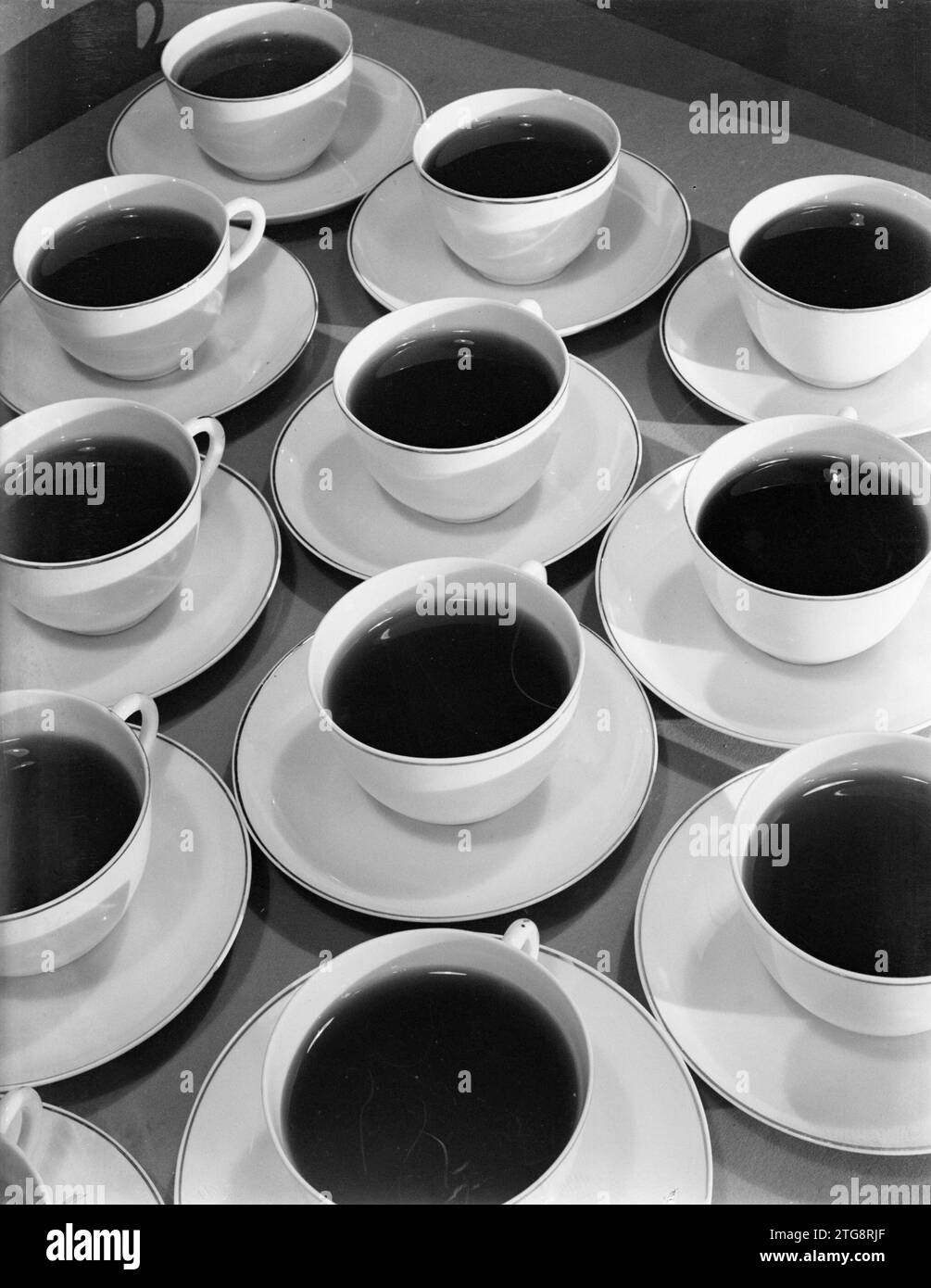 Cups and saucers filled with drinks (probably coffee), arranged in rows
