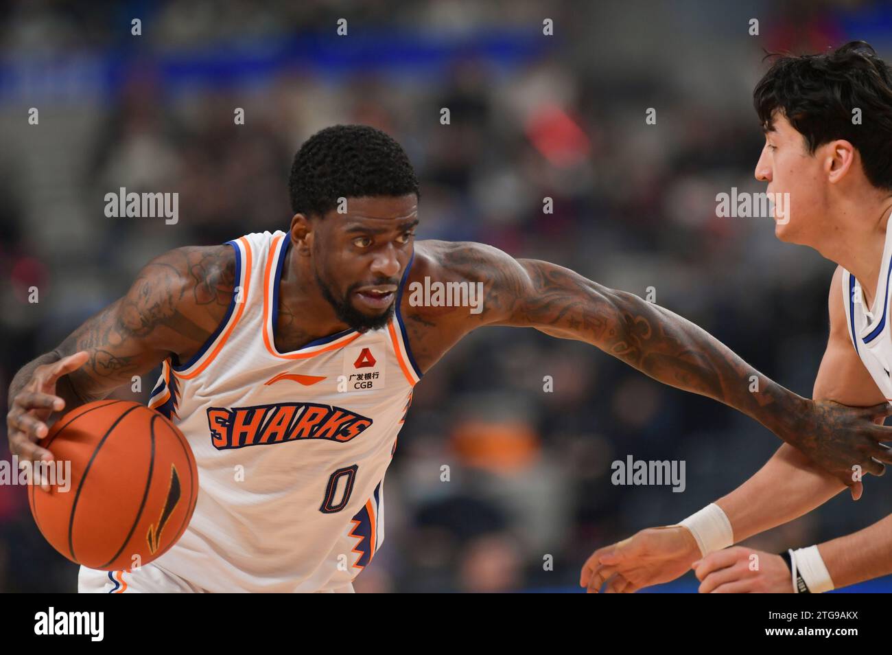 Shanghai Sharks Signed JaVale McGee Following D'Angelo Russell Shanghai Sharks Signed JaVale McGee Following D'Angelo Russell