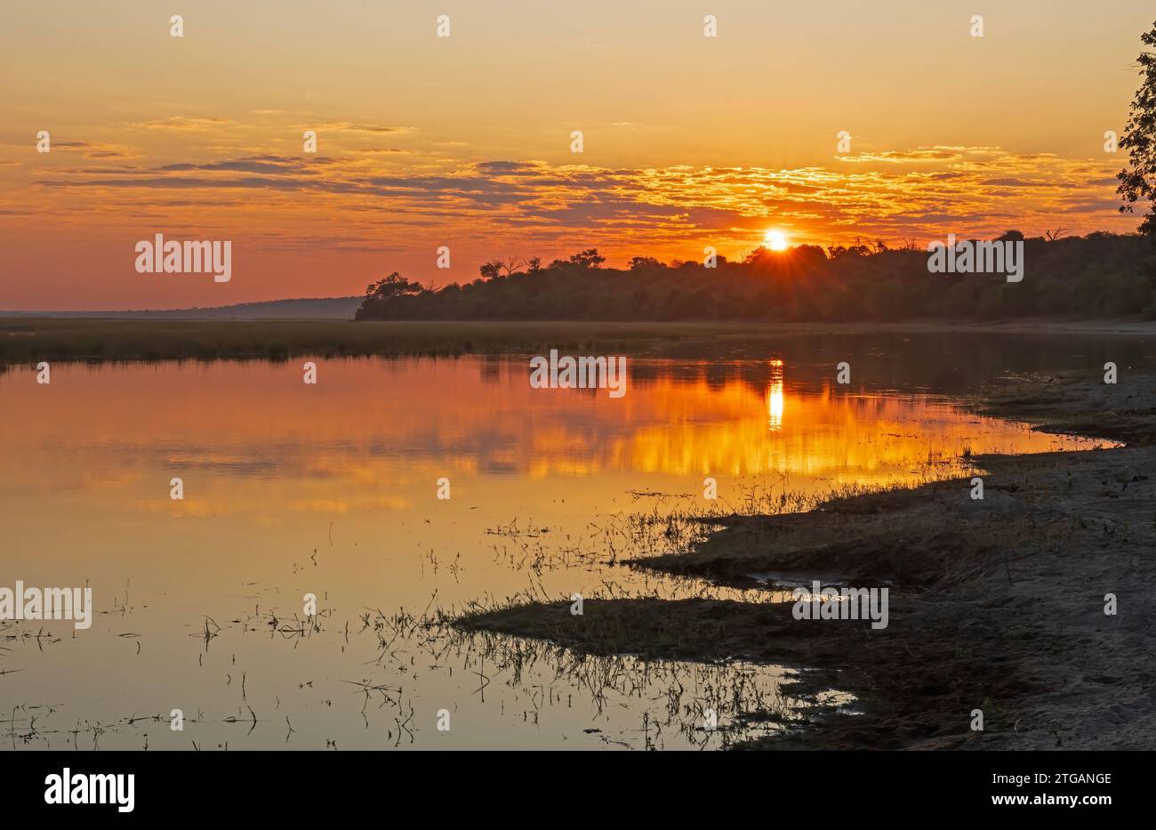Sunrise Over a Lake in Botswana in Chobe National Park. Stock Photo