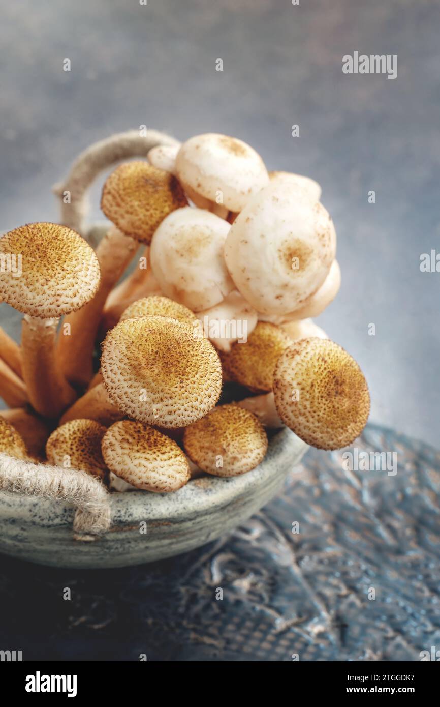Mushrooms in a handmade kraft bowl. Mushrooms on the table in a clay bowl. Forest mushrooms in the kitchen. Copy space Stock Photo