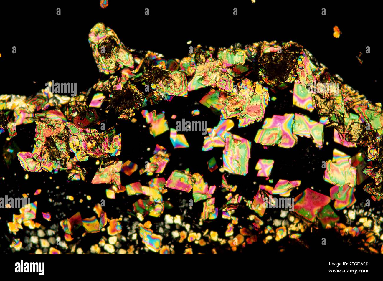 L-phenylalanine crystals. Photomicrograph polarized light. Stock Photo