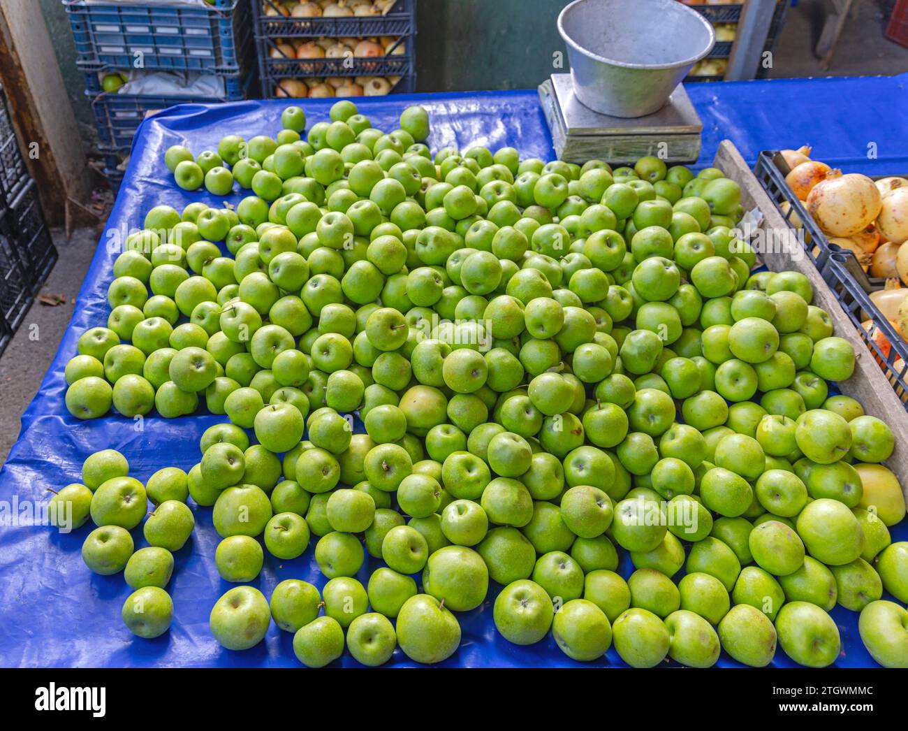 Granny Smith Sour Green Apples at Farmers Market Stall in Turkey Stock Photo