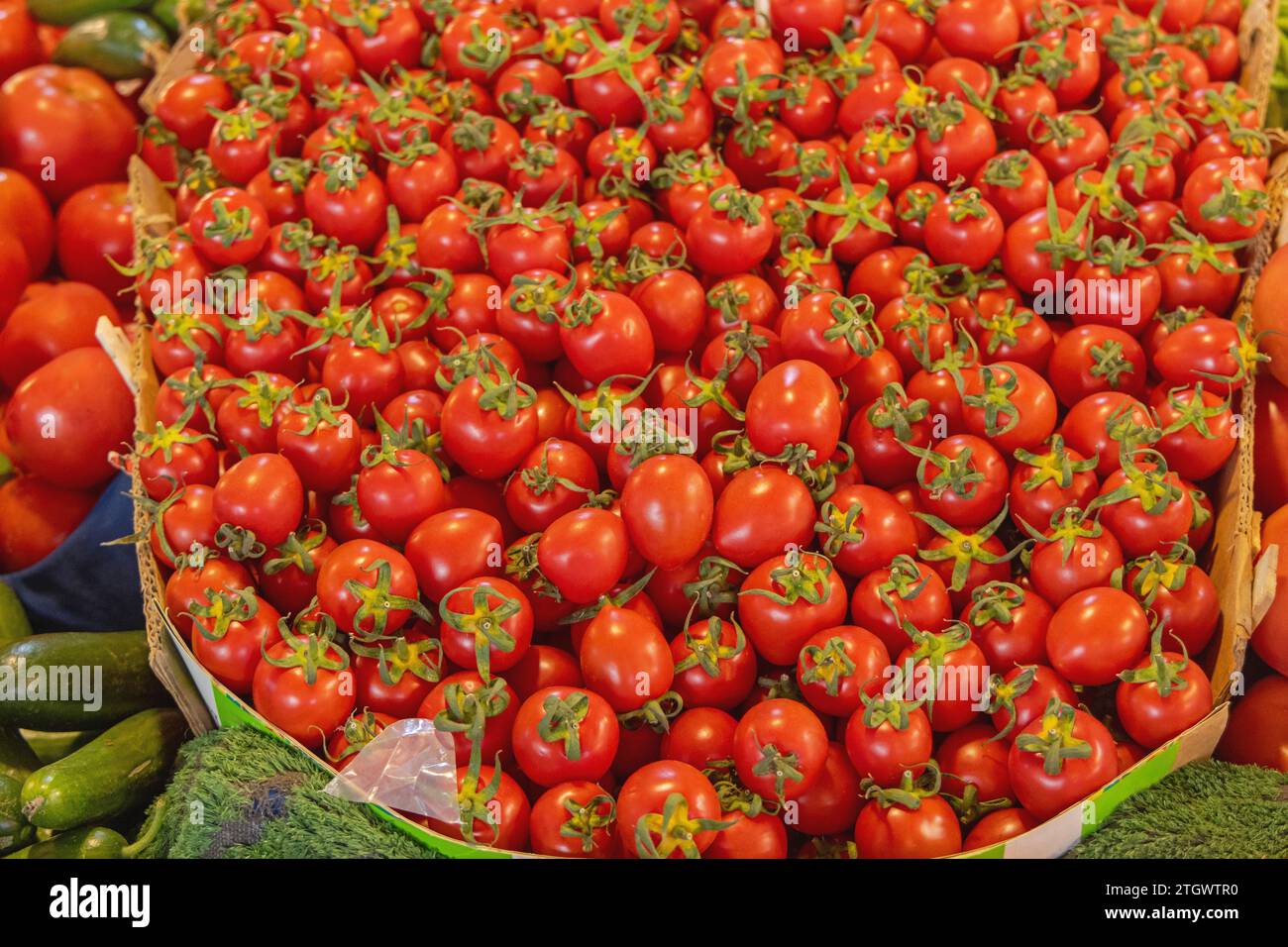 Big Bunch of Red Cherry Tomato at Farmers Market Stock Photo