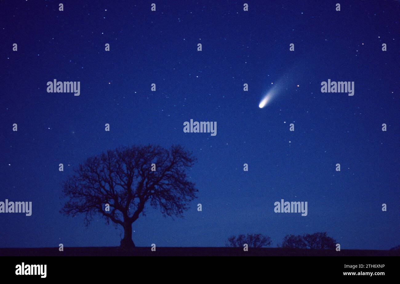 Comet Hale Bopp in moonlit sky from Northumberland England Stock Photo