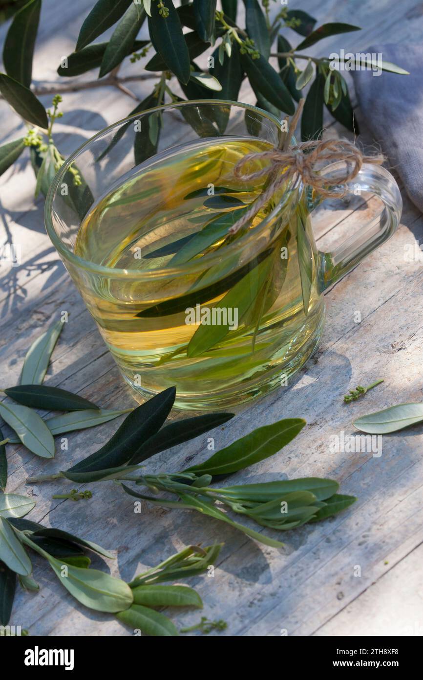 Olivenblatt tee hi-res stock photography and images - Alamy