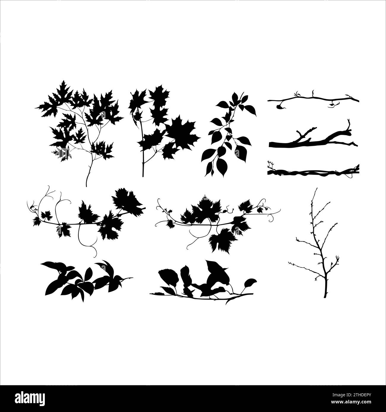 vector hand drawn leaves silhouette illustration Stock Vector Image ...