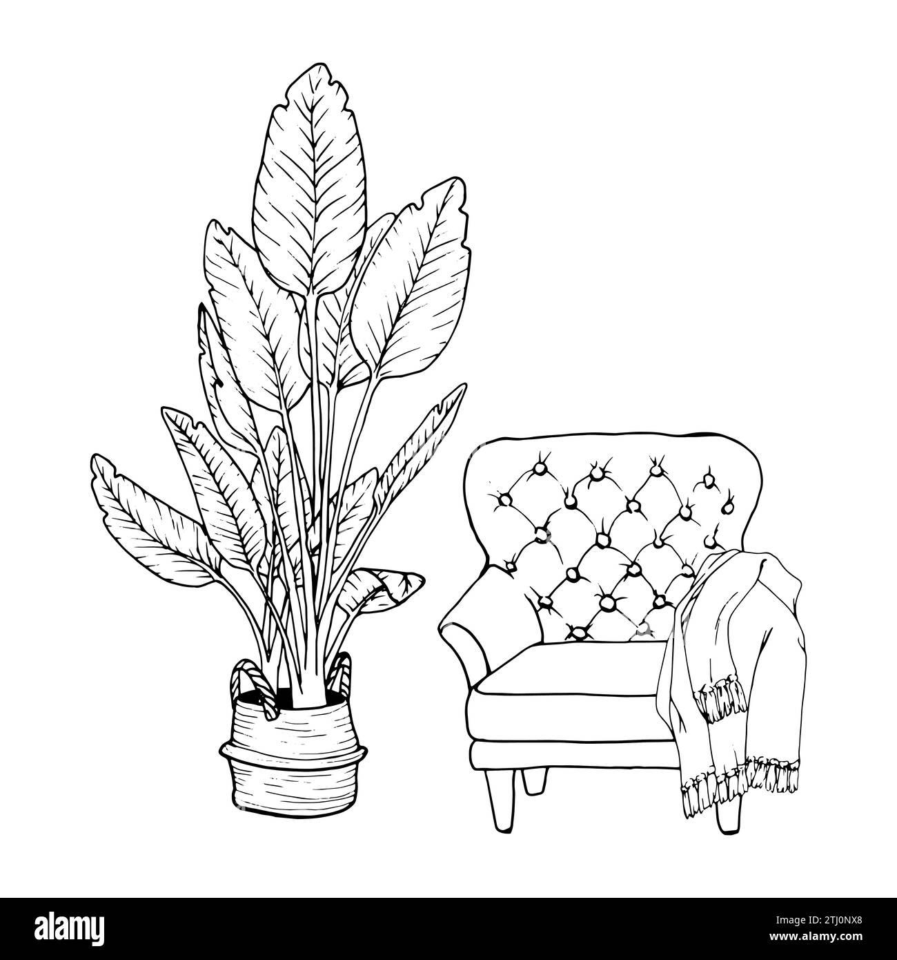 Armchair With Woolen Plaid Home Plant Birds Of Paradise In Pots flower-pot-png-best-flower-site