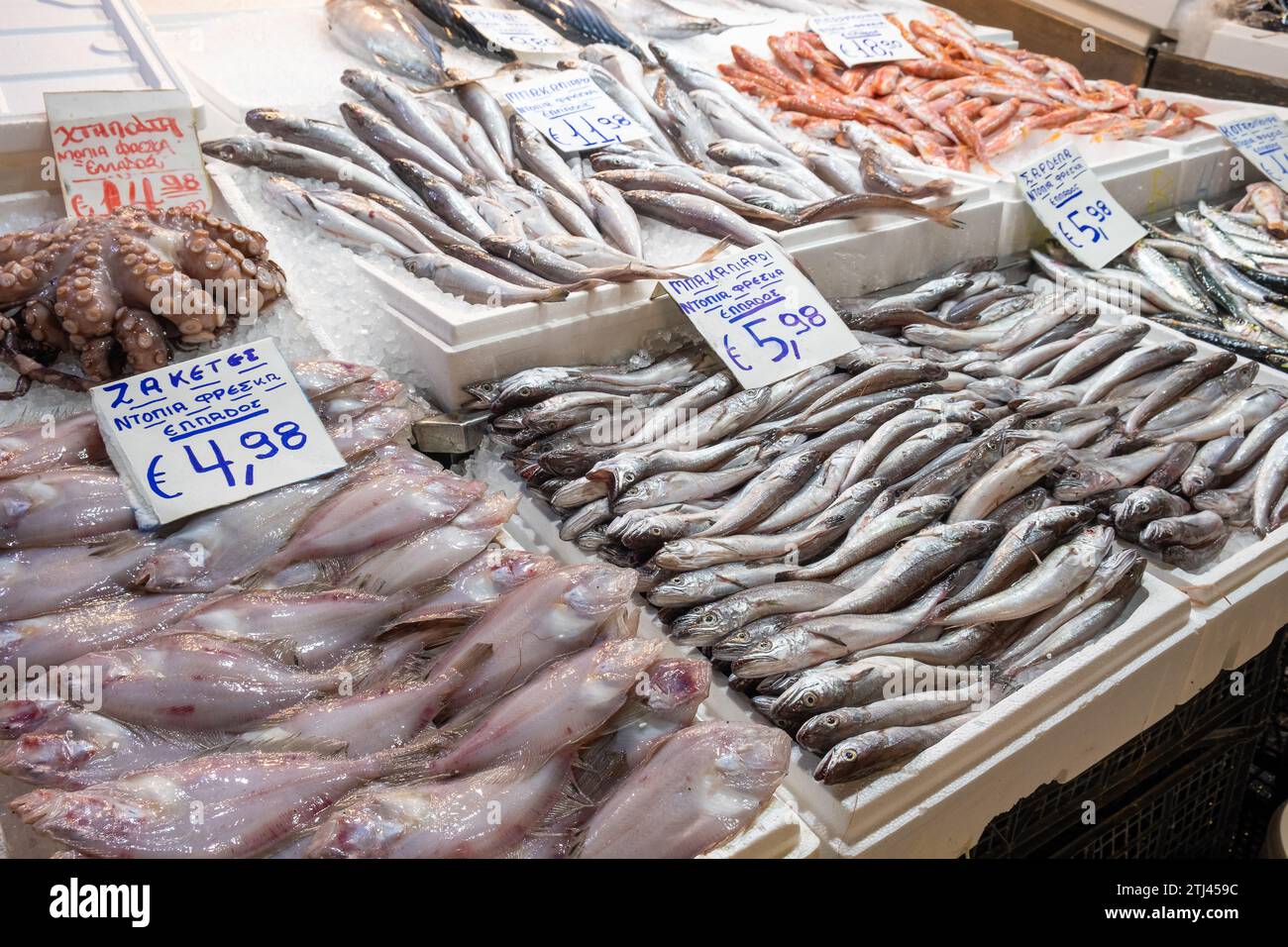 Athens, Greece 4 December 2023 Central fish market with displays and