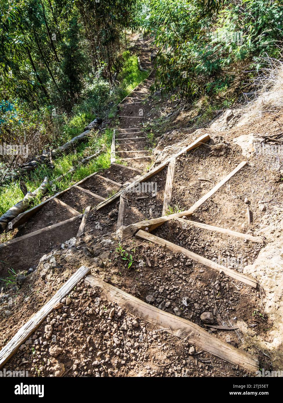 The levada walk from Monte to Funchal in Madeira, known as Levada do ...