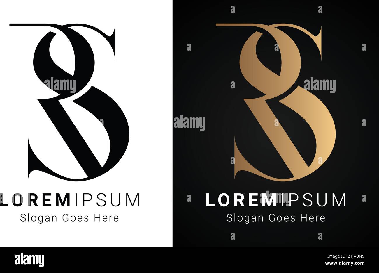 Luxury Initial RS or SR Monogram Text Letter Logo Design Stock Vector