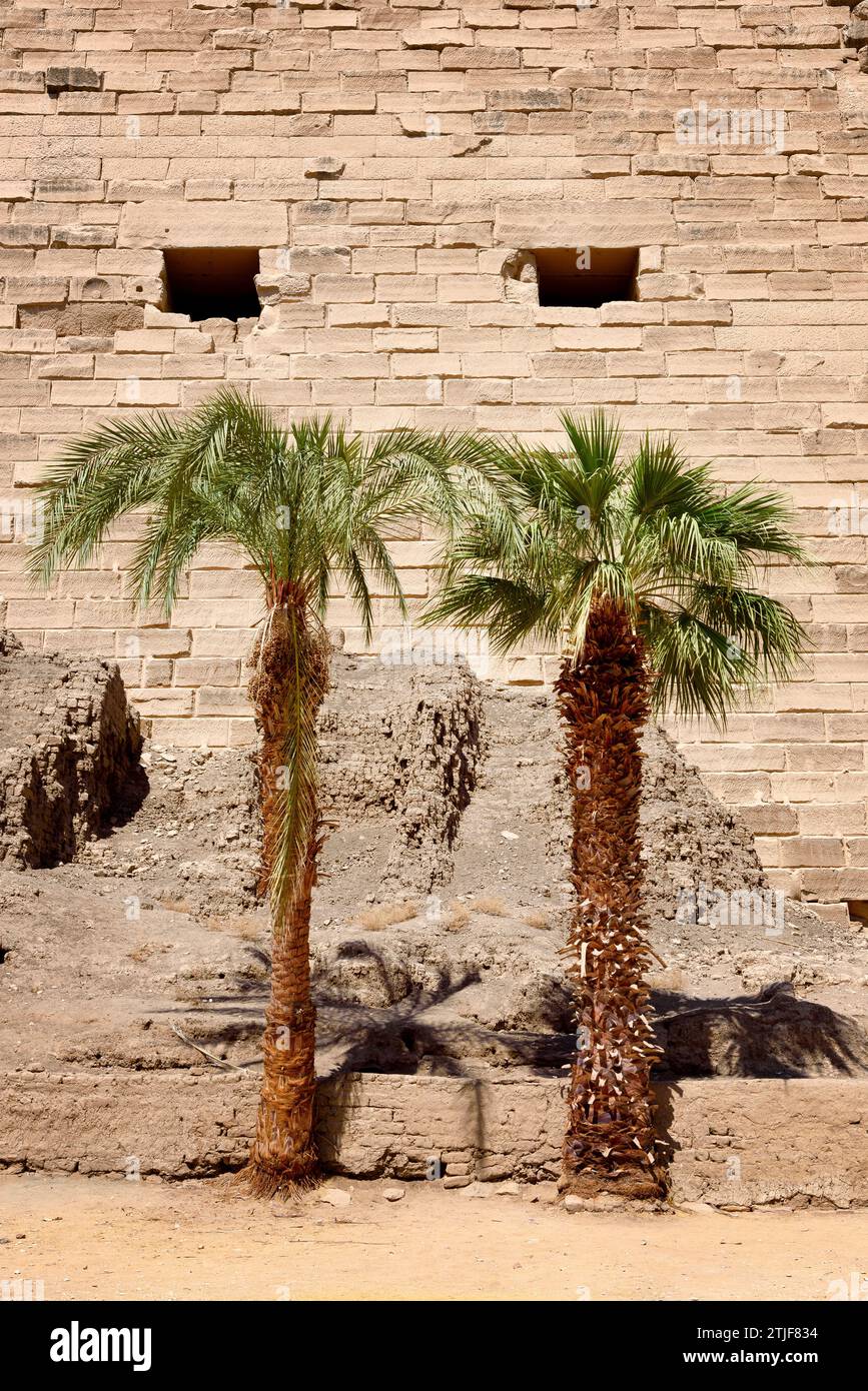 Palm trees at Karnak Temple, Luxor, Egypt. Al Karnak, Luxor, Egypt