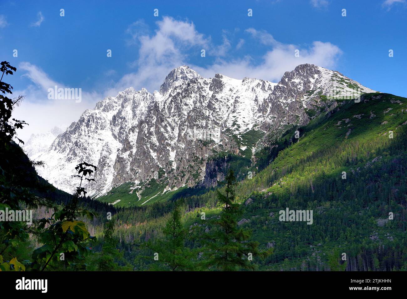 Slovakia's High Tatras mountains. Hrebienok - walk to Vodop‡dy StudenŽho potoka - Near Hrebienok, Slovakia. Credit: JHelebrant Stock Photo