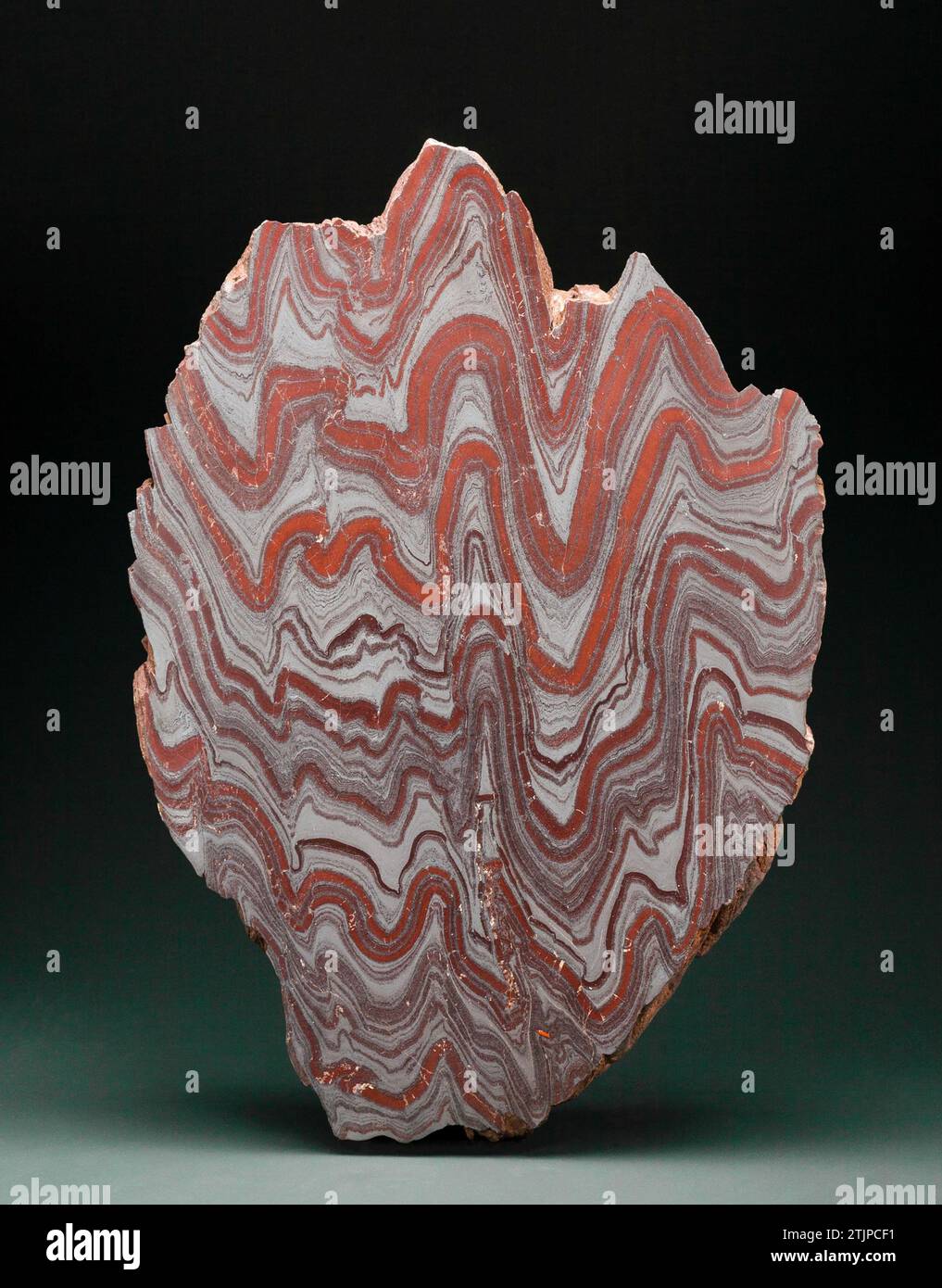 Cut and polished banded iron formation. On land, red beds (iron oxide deposits) form only if the atmosphere contains free oxygen. This rock, about 2.2 billion years old, tells us that the atmosphere had at least some oxygen. Many scientists think atmospheric oxygen levels then were about 1 percent today's levels.  An optimised version of an image from the Mineral Sciences collections at the Smithsonian Institution National Museum of Natural History. USA Stock Photo