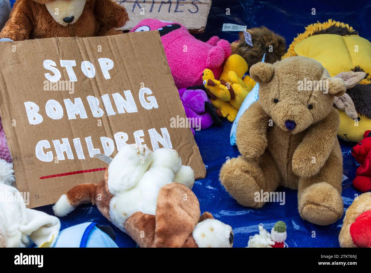 500 Teddies are placed in Truro to symbolise the death of 8,000 Gaza Children during Israeli airstrikes Stock Photo
