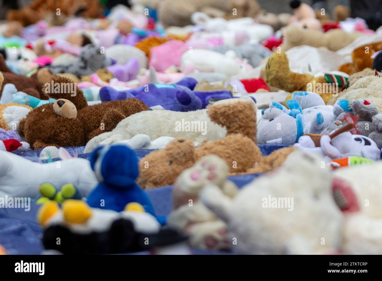 500 Teddies are placed in Truro to symbolise the death of 8,000 Gaza Children during Israeli airstrikes Stock Photo