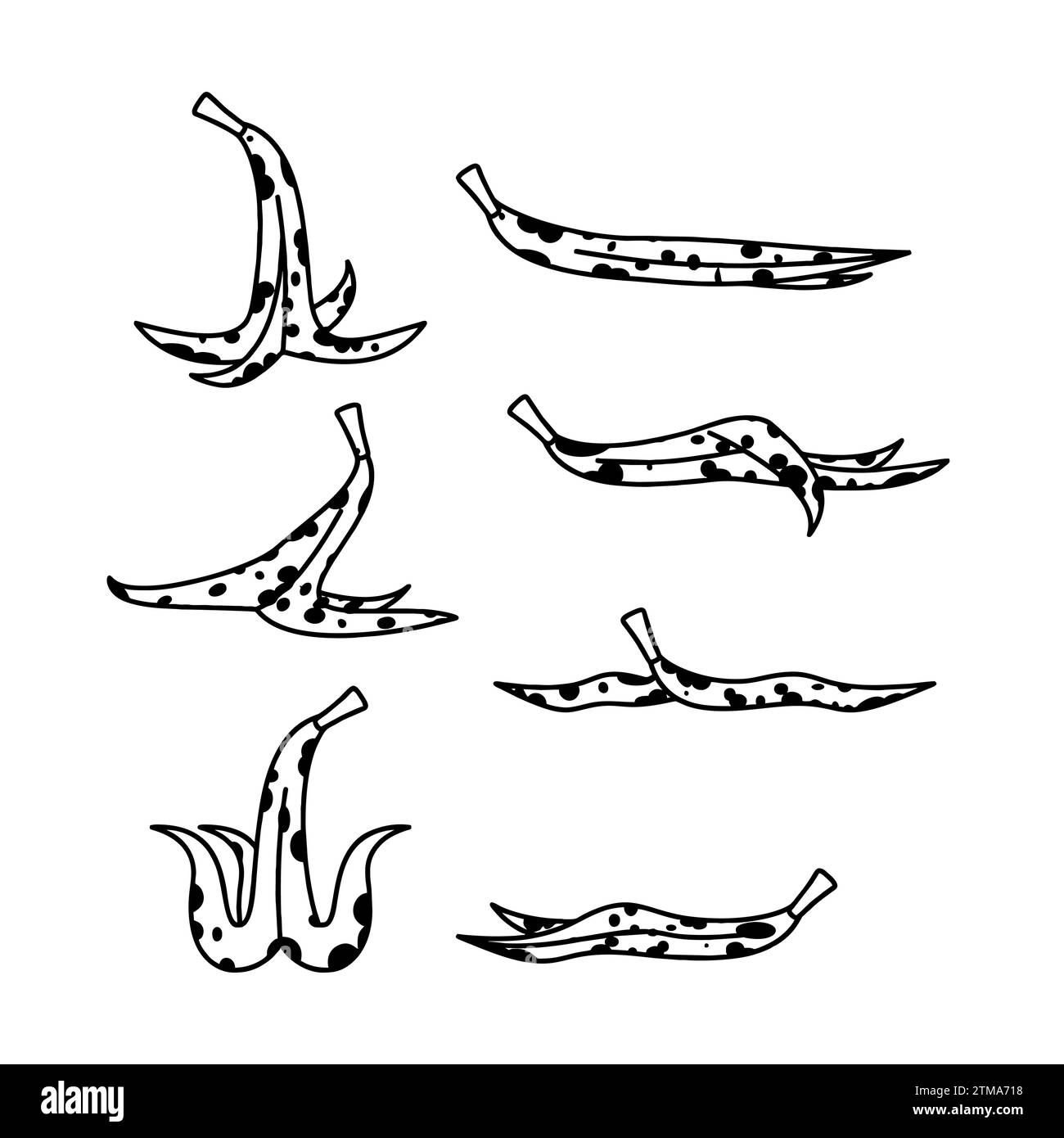 Banana Peel Set Old Rotten Banana Peel Stock Vector Image Art Alamy banana-peel-set-old-rotten-banana-peel-stock-vector-image-art-alamy
