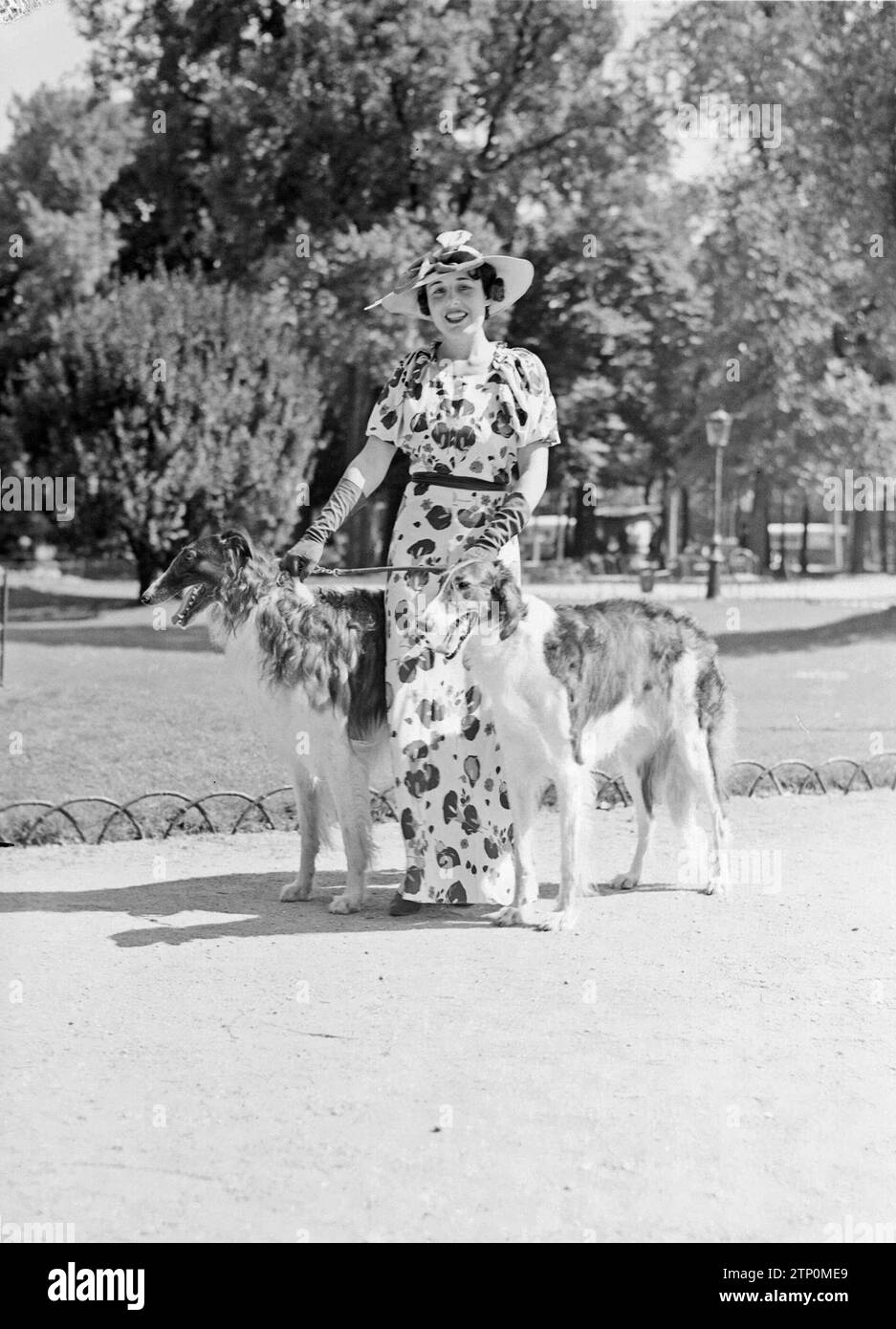 Woman with two dogs hi-res stock photography and images - Alamy