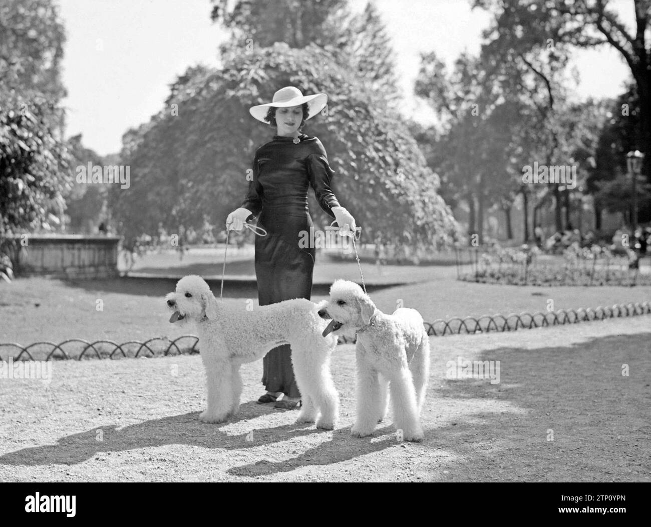 Woman with two dogs hi-res stock photography and images - Alamy