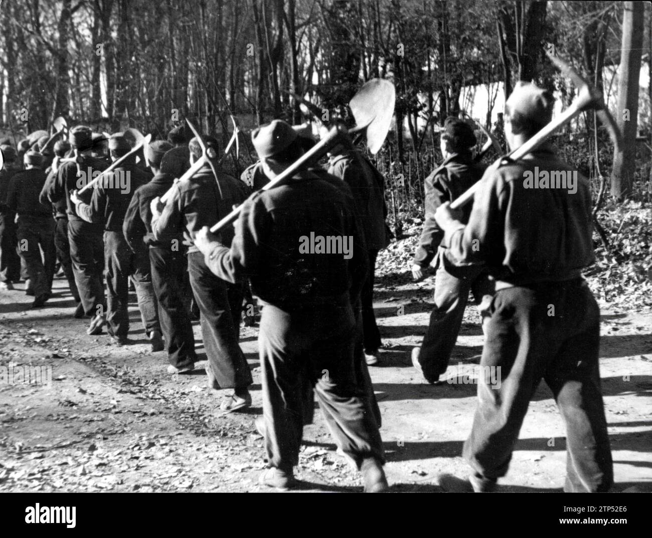 Footifiers Albero y hi-res stock photography and images - Alamy
