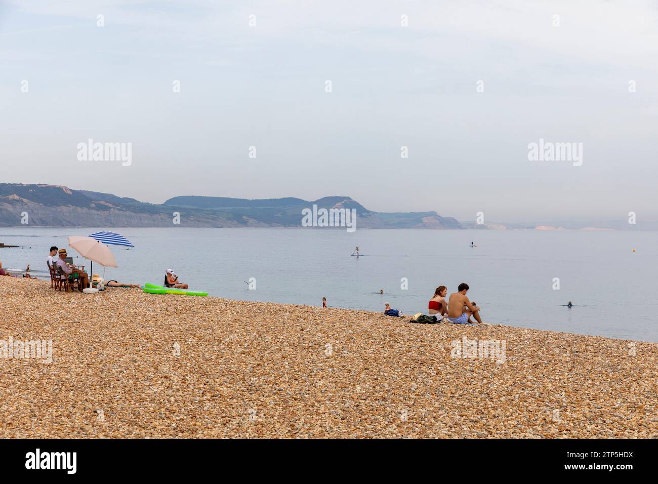 Shingle beach at lyme regis hi-res stock photography and images - Page 5 -  Alamy