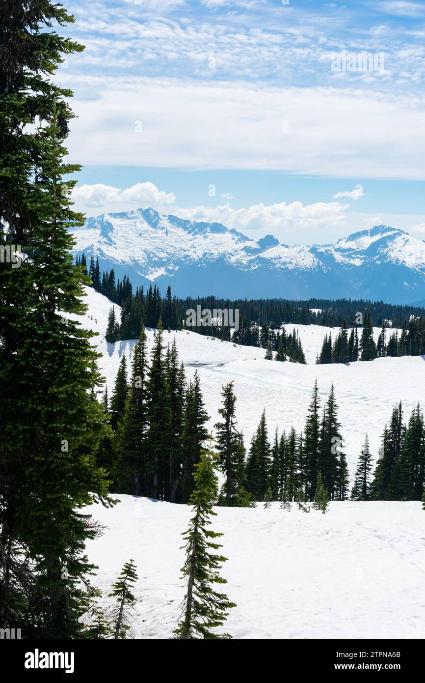 Alpine Slopes Snow blankets the alpine slopes with the rugged Garibaldi Range in the ...