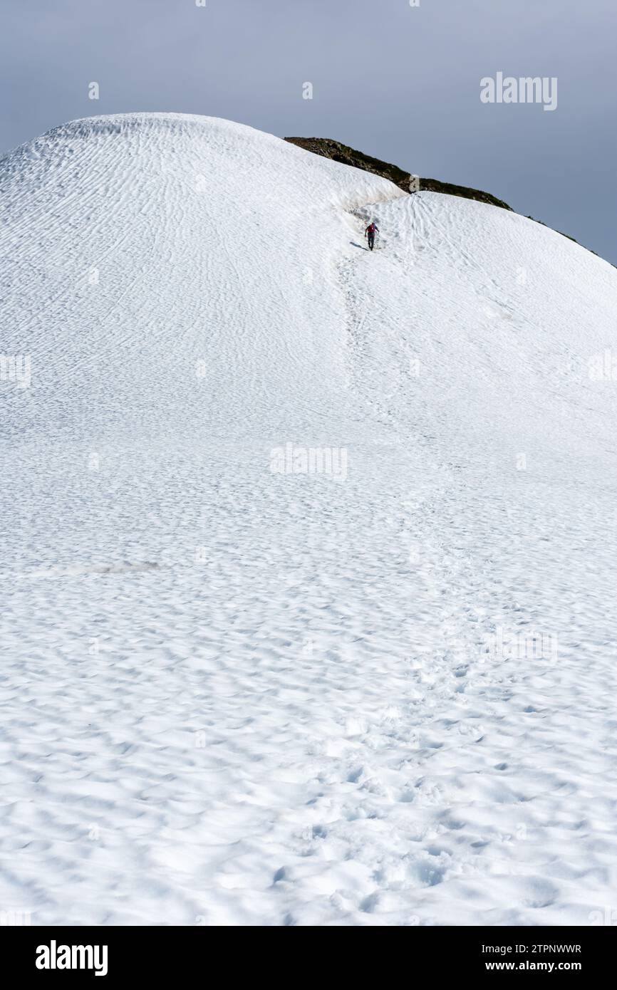 A lone hiker approaches the snowy crest of Panorama Ridge Stock Photo ...