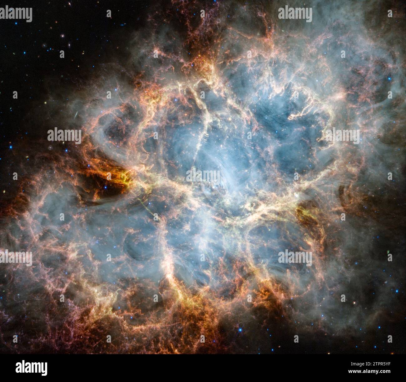 This image, released on October 30, 2023, and taken by NASA's James Webb Space Telescope's NIRCam (Near-Infrared Camera), has revealed new details in infrared light of the Crab Nebula. Similar to the Hubble optical wavelength image released in 2005, with Webb, the remnant appears to be comprised of a crisp, cage-like structure of fluffy red-orange filaments of gas that trace doubly ionized sulfur (sulfur III). Among the remnant's interior, yellow-white and green fluffy ridges form large-scale loop-like structures, representing areas where dust particles reside. NASA/UPI Stock Photo