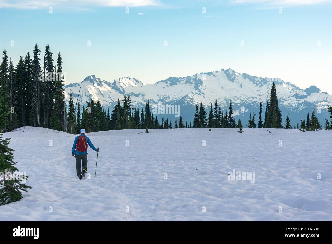 A hiker traverses the snowy slopes of Panorama Ridge Trail, with the breathtaking mountains of Garibaldi Provincial Park stretching into the distance. Stock Photo