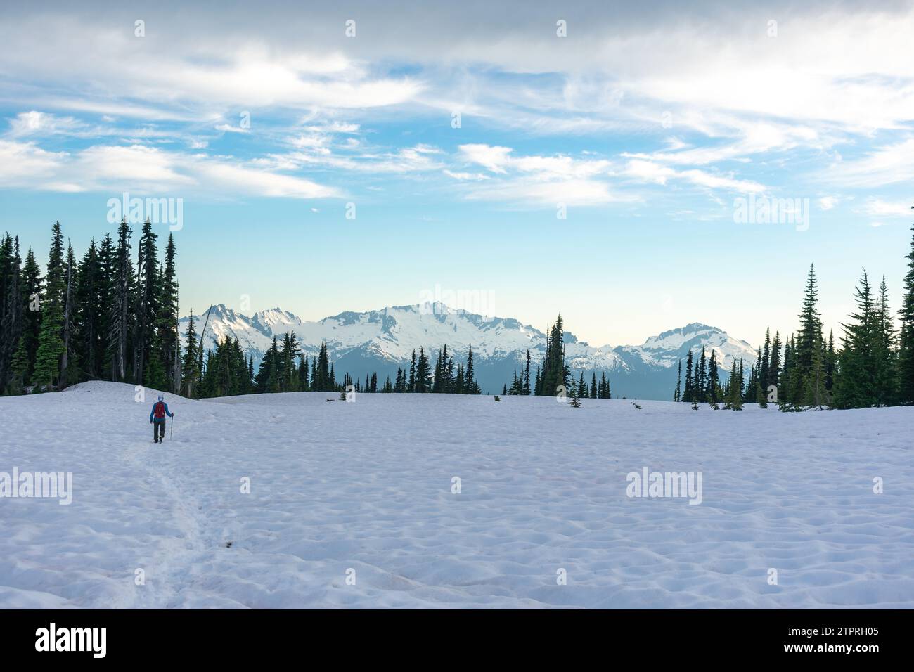 A hiker traverses the snowy slopes of Panorama Ridge Trail, with the breathtaking mountains of Garibaldi Provincial Park stretching into the distance. Stock Photo