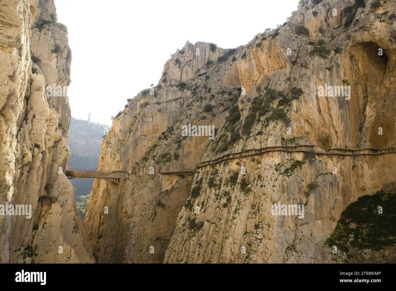 Gitanes Gorge (Málaga), 3/23/2015. The gorge runs between the municipalities of Ardales, Álora and Antequera, next to the village and the El Chorro reservoir. There is a three-kilometer-long path that was built for maintenance workers to access the El Chorro reservoir, hanging from the walls of the gorge. King Alfonso XIII visited it in 1921 and since then it began to be known as Caminito del Rey, recently restored. Credit: Album / Archivo ABC / Raúl Doblado Stock Photo