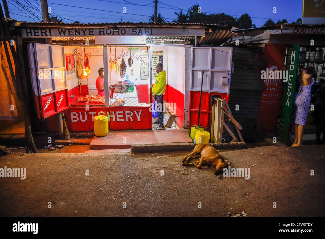 Nairobi, Kenya. 19th Dec, 2023. A dog sleeping outside a butchery in