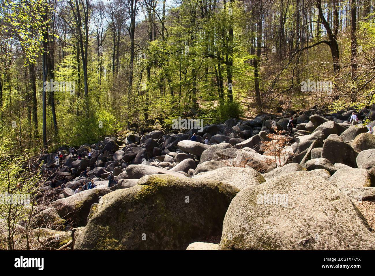 Lautertal, Germany - April 24, 2021: Side of hill covered in large rocks on a spring day at Felsenmeer in Germany. Stock Photo