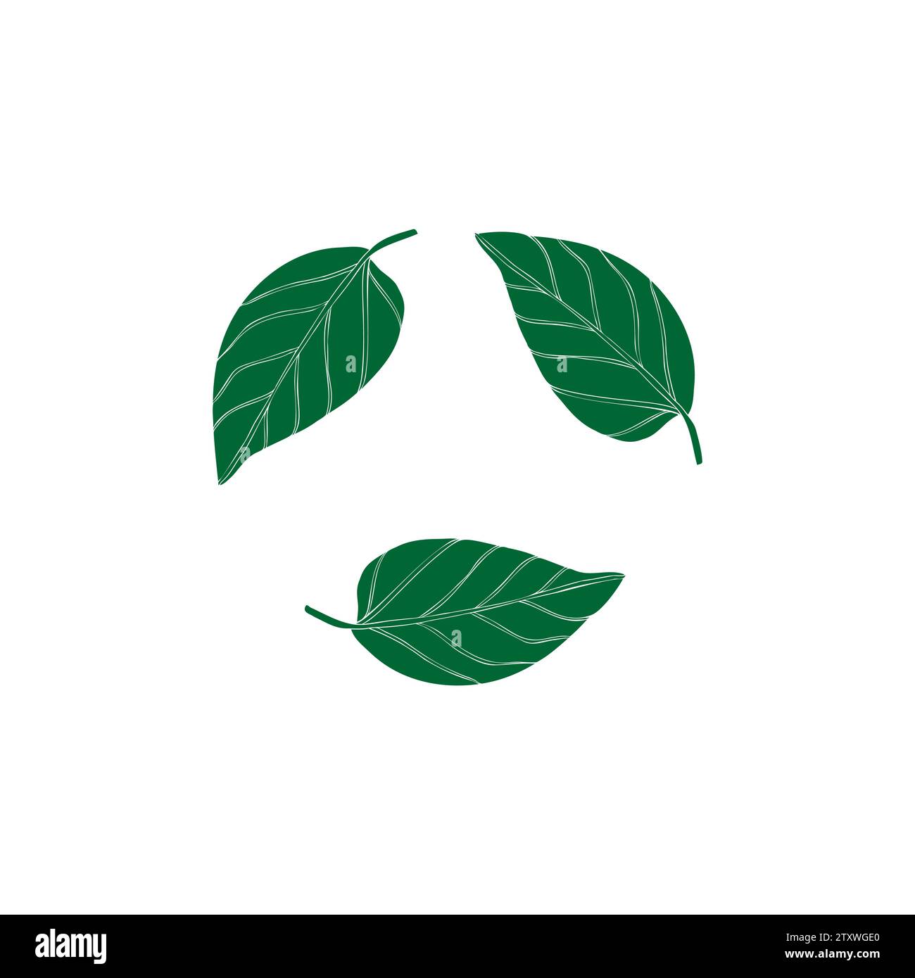 Silhouette green leaves eco icon on isolated background Elements of ...