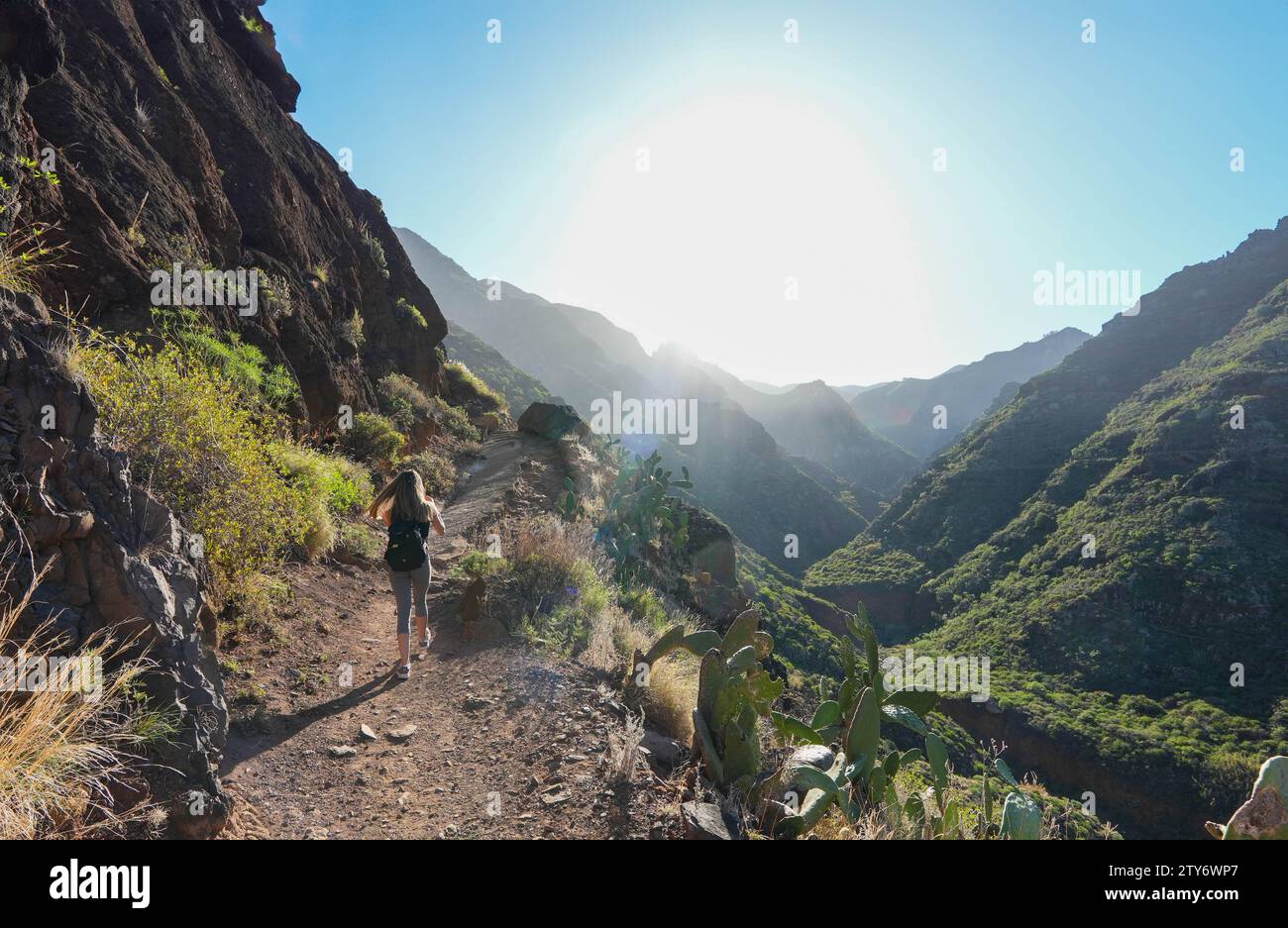 wide-angle image captures a solitary hiker, viewed from behind, ascending a rugged mountain trail amidst the grandeur of towering peaks and valleys. T Stock Photo