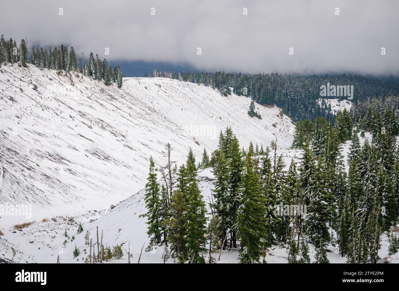 Snow-covered Mount Hood in the Mount Hood National Forest Stock Photo ...