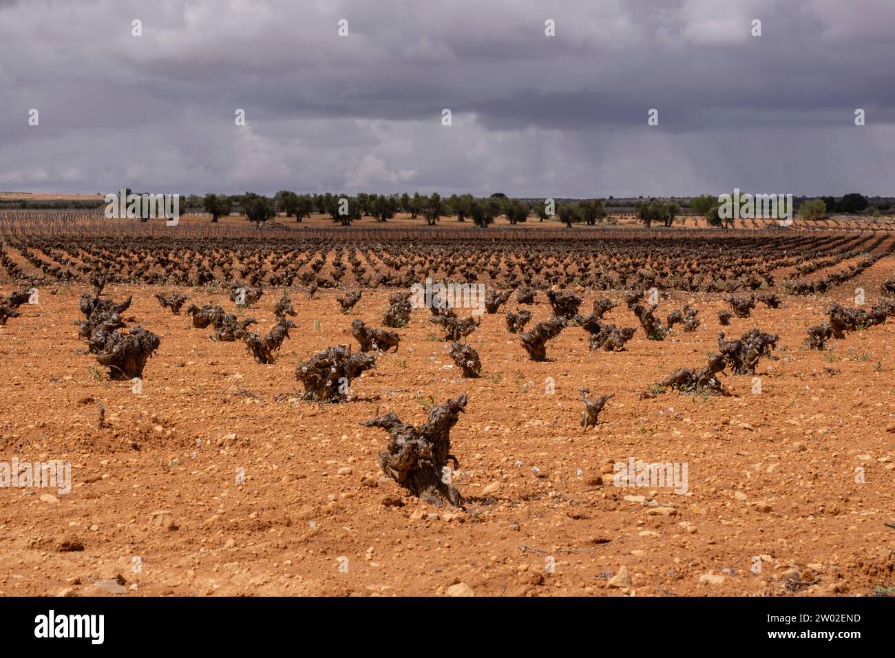 Cultivos de campo hi-res stock photography and images - Alamy