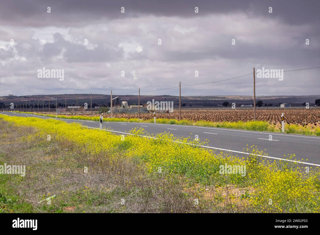 Campo de Criptana, provincia de Ciudad Real, Castilla-La Mancha, Spain Stock Photo