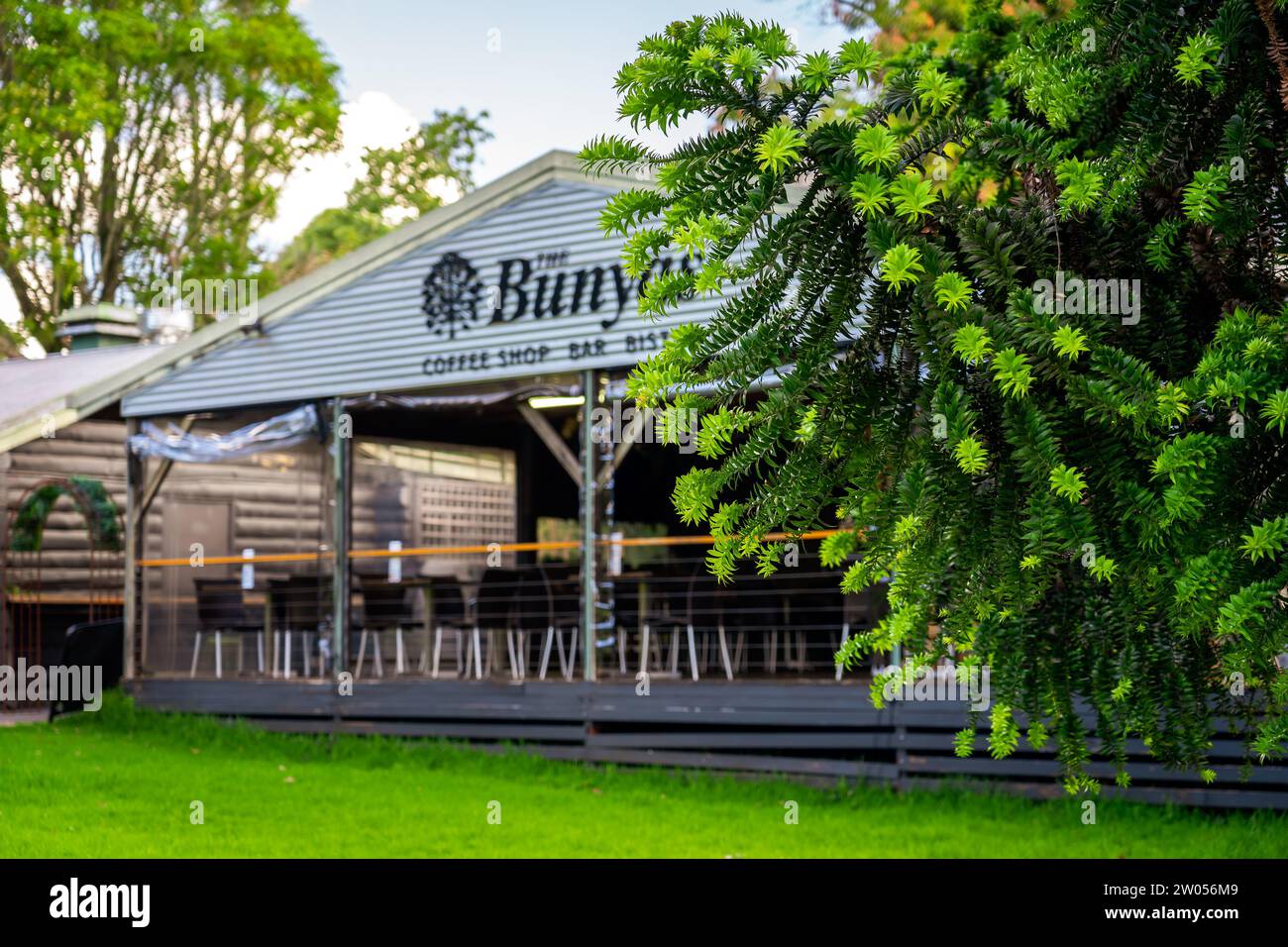 Bunya Mountains, QLD, Australia - Bunya tavern building behind the Bunya pine tree Stock Photo