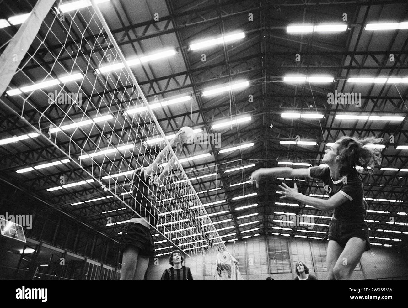 Volleyball, final v. tournament, Spaarne Phoenix, Volleyball, 3012