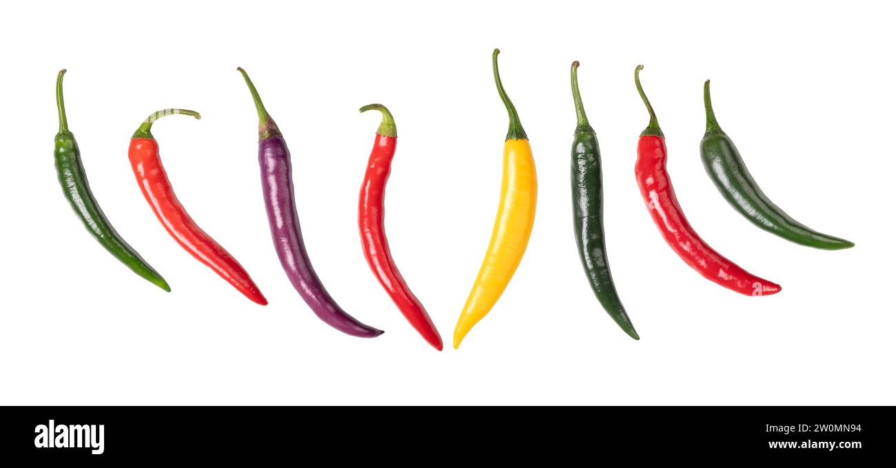 Cayenne peppers, colorful fresh chilies, in a row. Green, red, yellow and purple fruits of moderately hot chili peppers of the type Capsicum annuum. Stock Photo