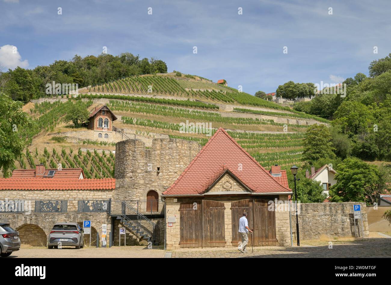 Stadtmauer, Weinberg an der Schützenstraße, Freyburg, Sachsen-Anhalt, Deutschland Stock Photo