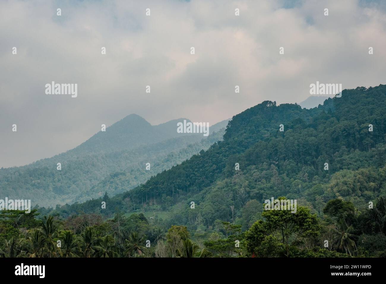 Immerse yourself in the majestic allure near Bandung, Indonesia, with a zoomed panorama capturing the ethereal mist-covered mountains and dense forest Stock Photo
