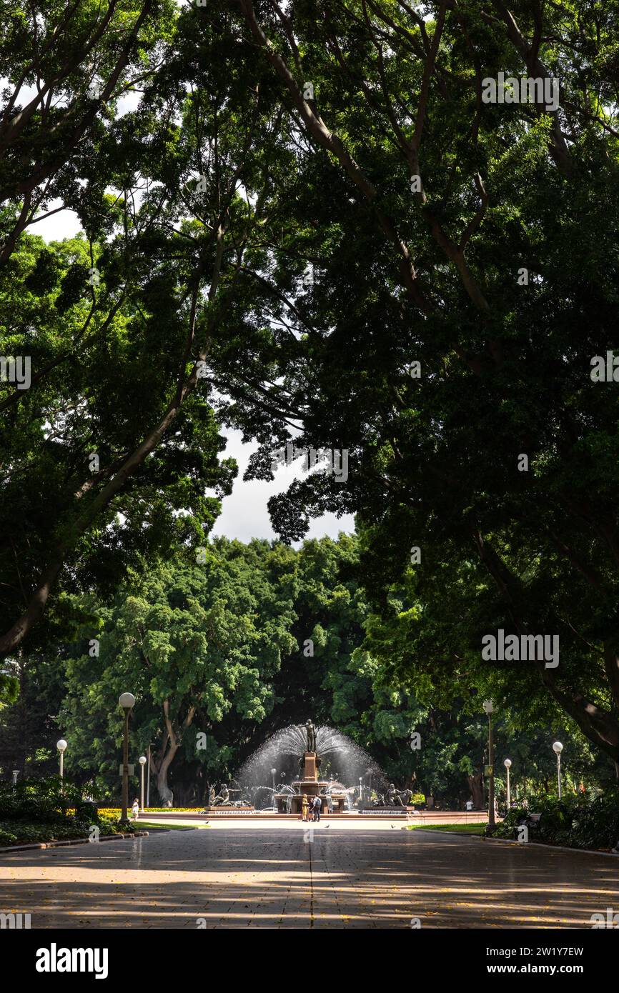 Grand avenue of Hill’s Weeping Figs framing Archibald Fountain in