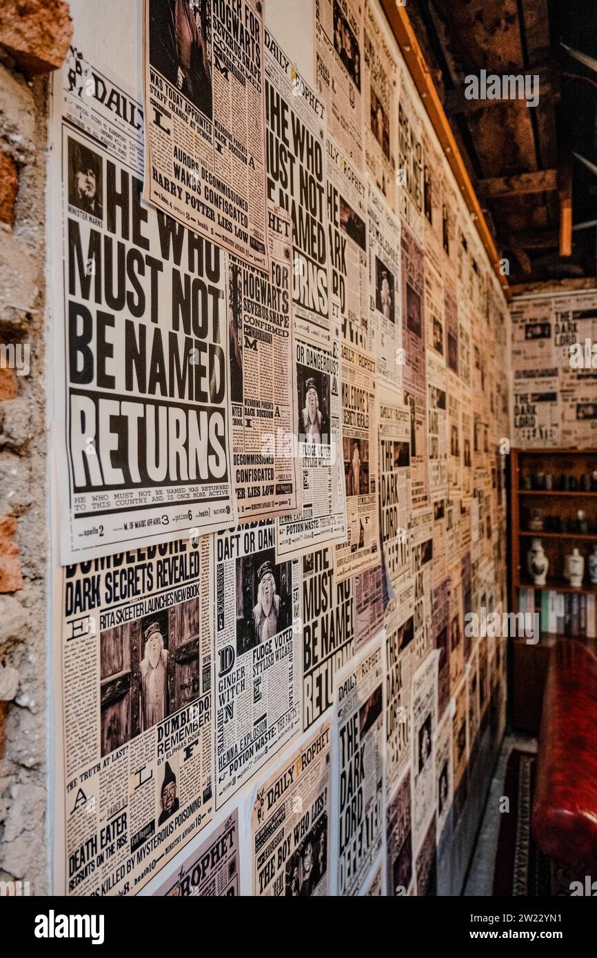 Immerse yourself in the enchanting world of magic with a wall decoration adorned with Harry 