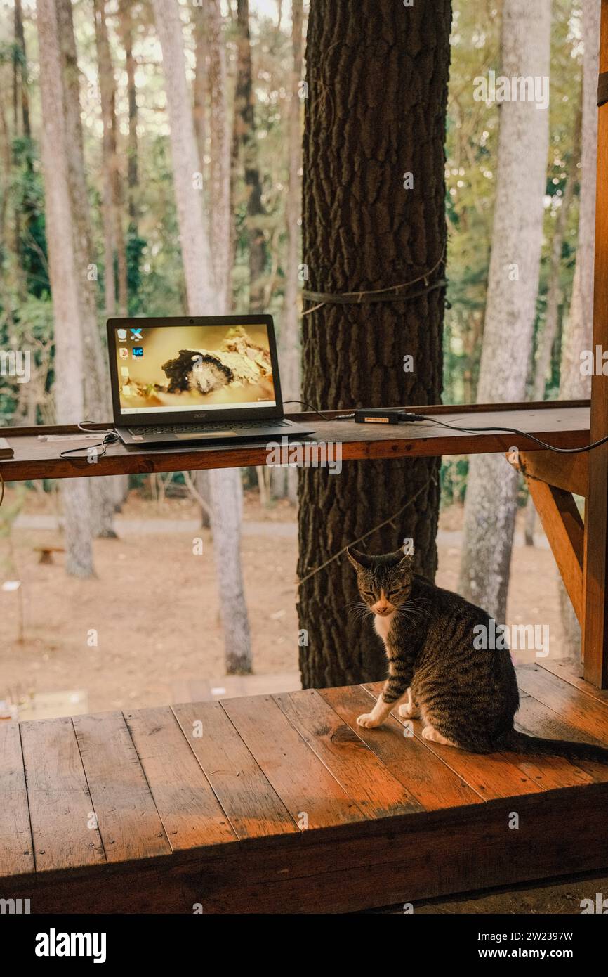 Stunning Friendly And Immersed In Nature image