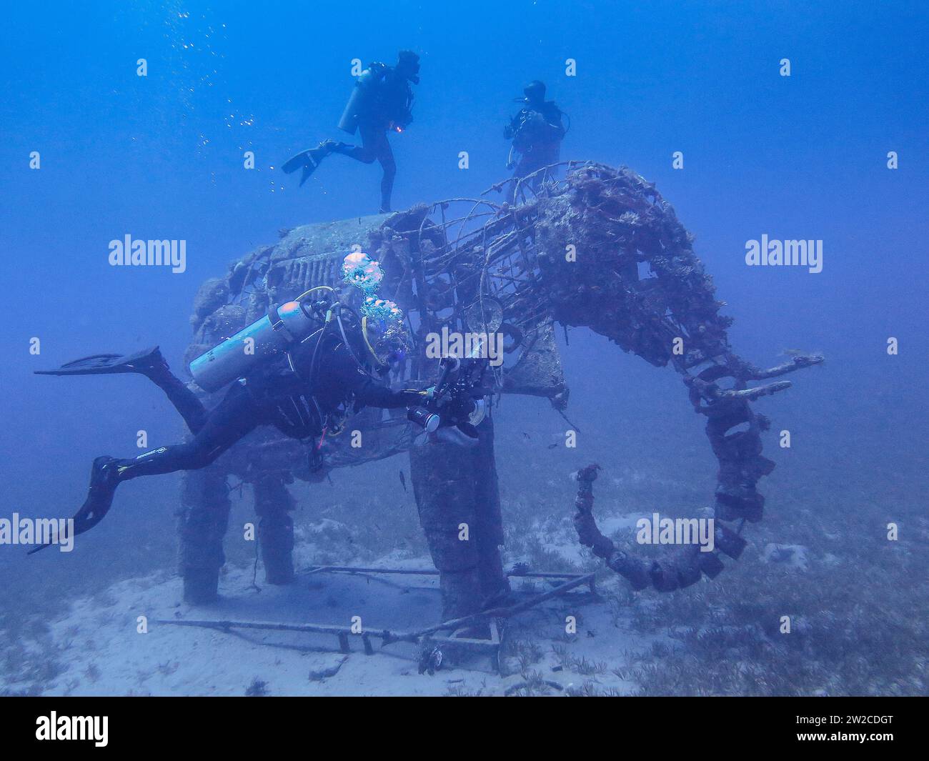 Taucher an Unterwasserskulptur Elefant, Unterwasser-Foto, Tauchplatz Lighthouse, Dahab, Golf von Akaba, Rotes Meer, Sinai, Ägypten Stock Photo