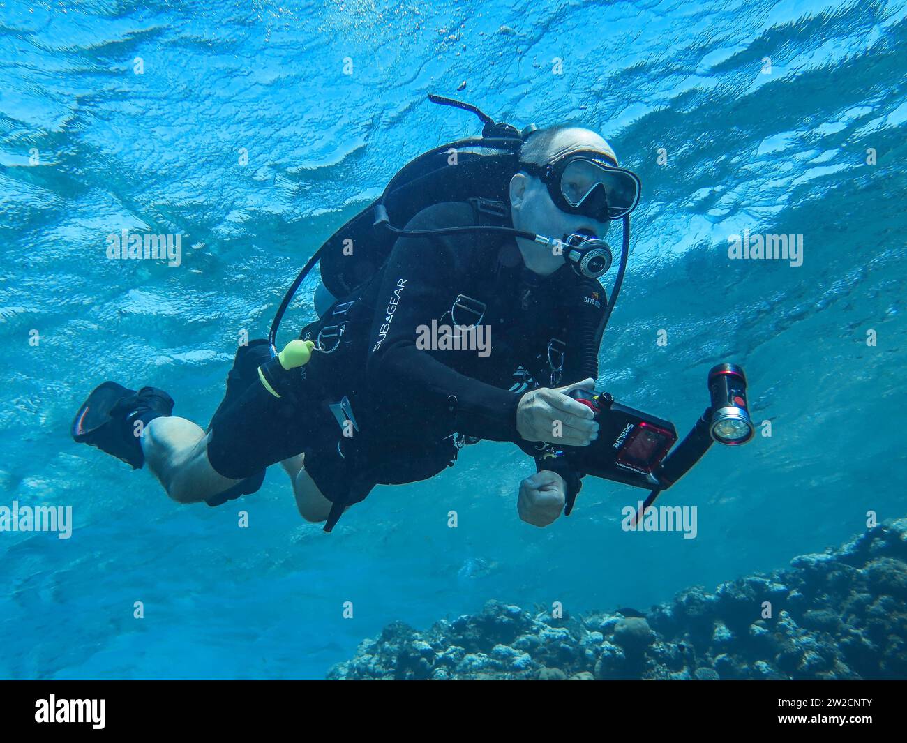 Taucher mit Kamera , Unterwasser-Foto, Tauchplatz The Canyon, Dahab, Golf von Akaba, Rotes Meer, Sinai, Ägypten Stock Photo