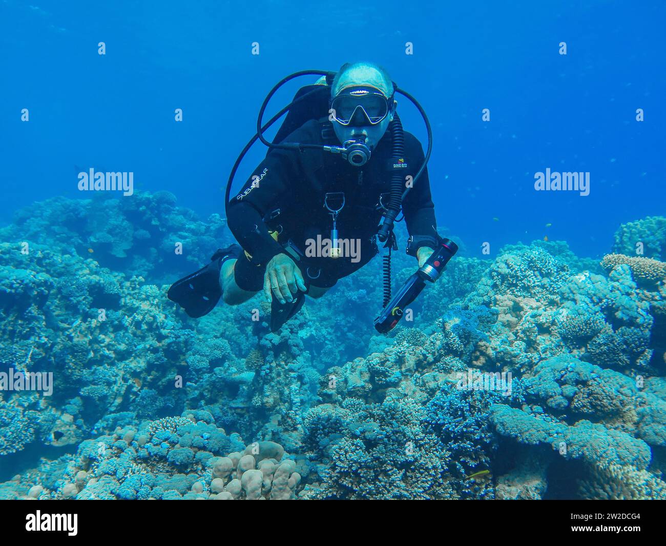Taucher mit Kamera über Steinkorallen, Unterwasser-Foto, Tauchplatz The Islands, Dahab, Golf von Akaba, Rotes Meer, Sinai, Ägypten Stock Photo