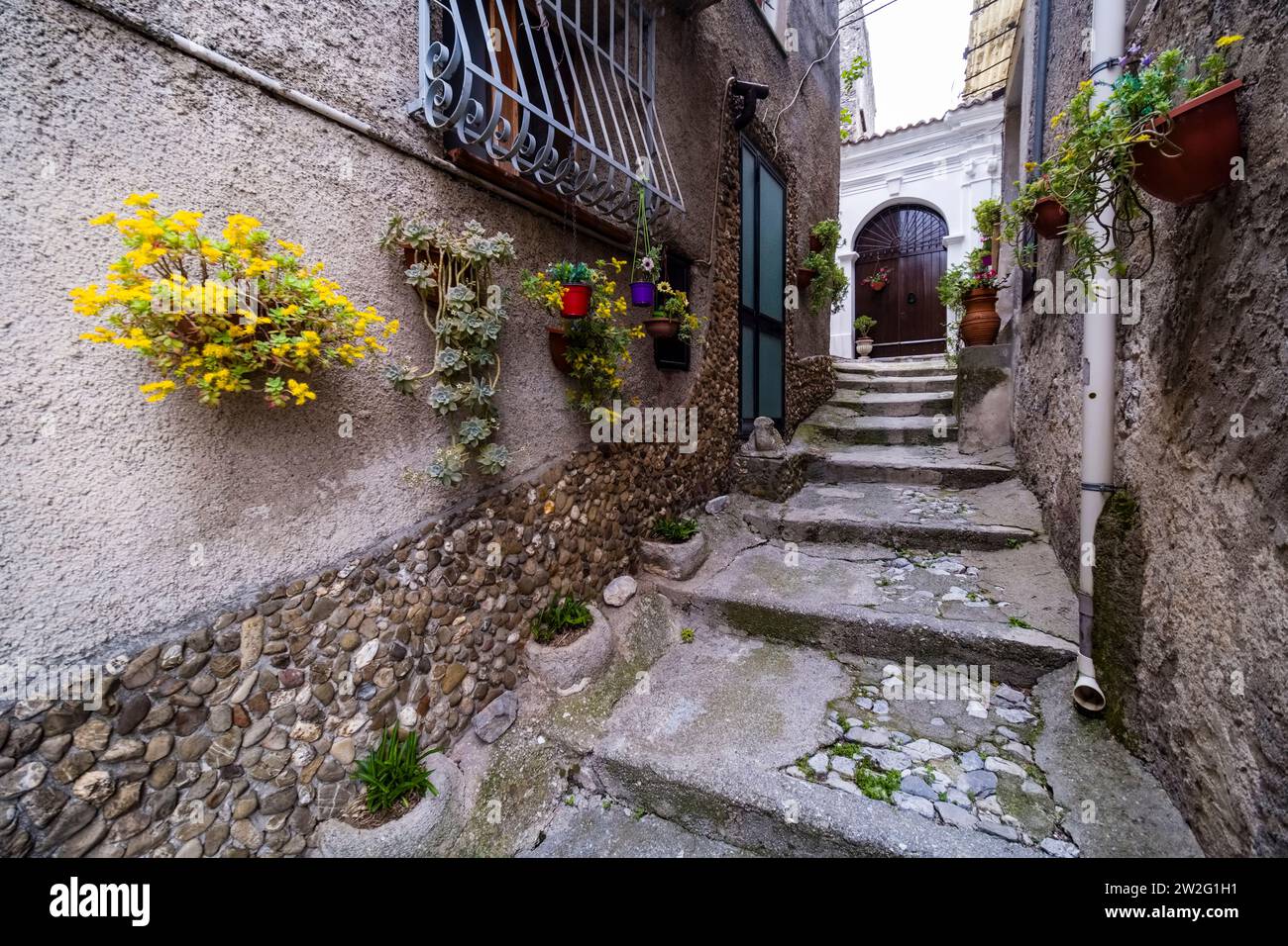 Narrow alley in the town of Morano Calabro, decorated with blooming flowers in pots. Stock Photo