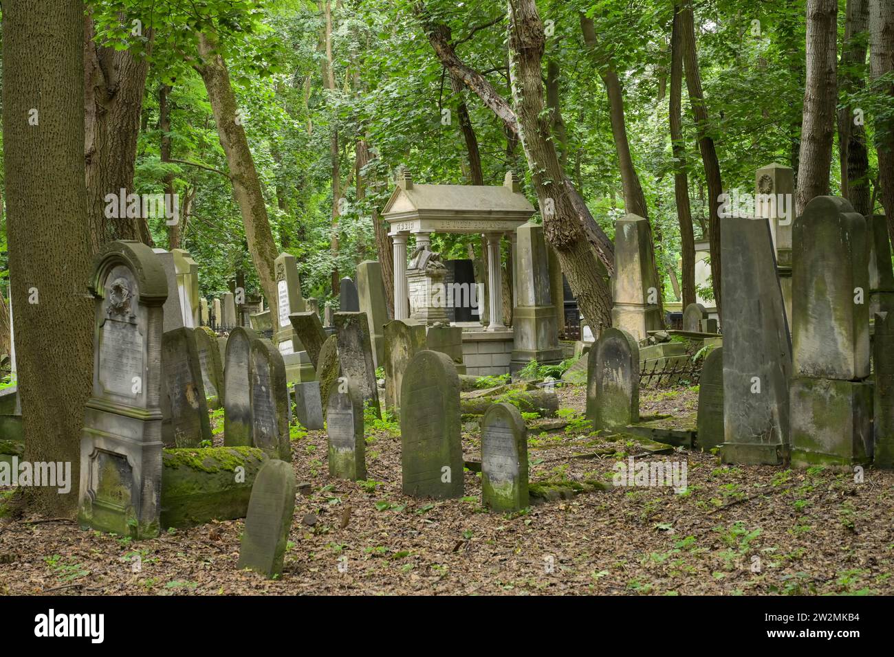 Grabsteine, Jüdischer Friedhof an der OkopowaStraße, Warschau